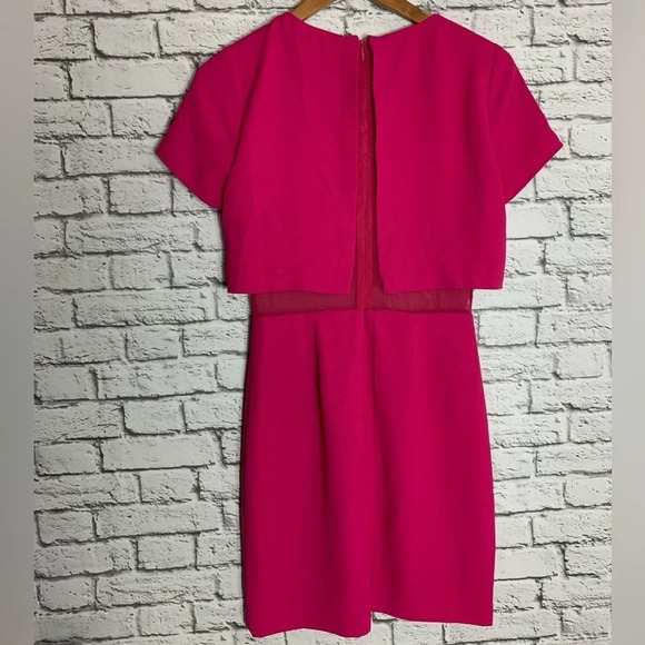 CeCe By  Cynthia Steffe Women’s Hot Pink Mesh Barbiecore Dress Size 2 Feminine - Picture 3 of 12